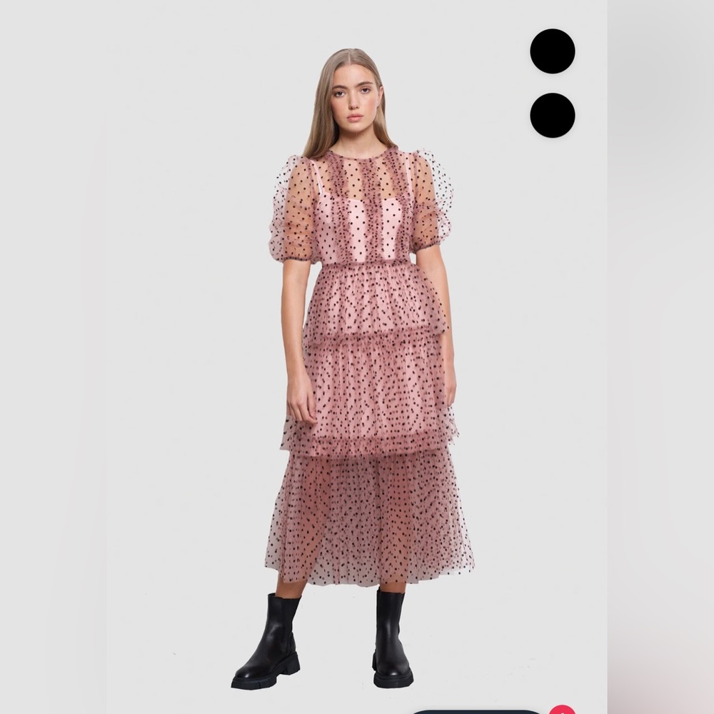 Amylynn Annie pink spot mesh dress